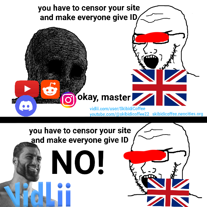 vidlii based